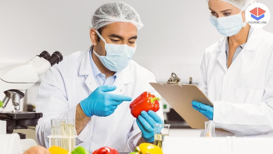 RSPH: Level 2 Award in Food Safety & Hygiene (Awareness Edition) Course Thumbnail