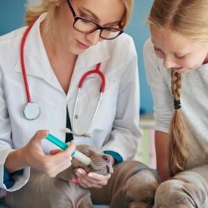 Dog First Aid Level 8 Advanced Diploma Course Image