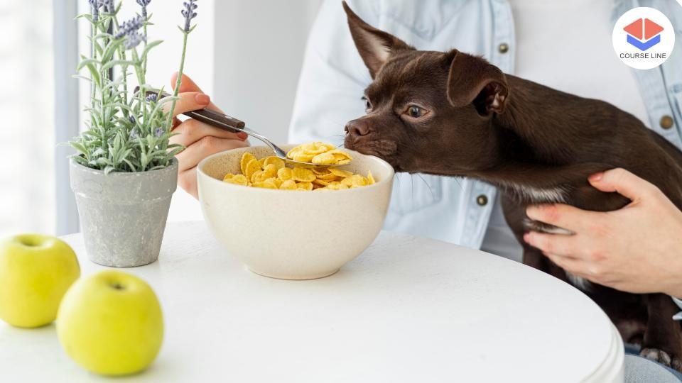 Natural Pet Diet and Nutrition Training for Dogs and Cats Course Image