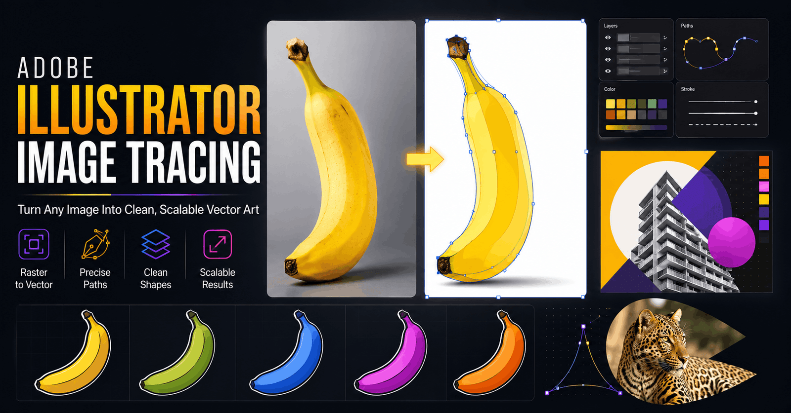 Adobe Illustrator image tracing workspace showing colourful vector artwork, recolouring and creative clipping mask designs