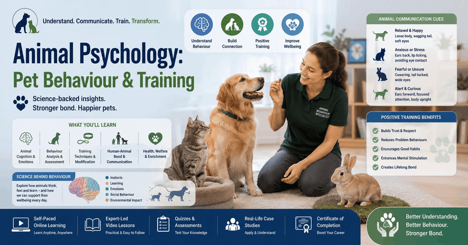 Animal Psychology Course showing dog, cat, rabbit behaviour analysis and pet training in a professional learning environment